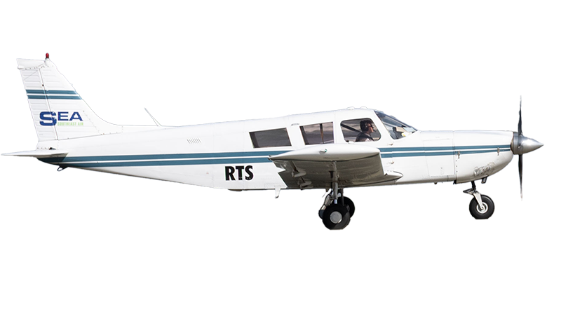 Beaks-and-Feathers_Masons_Plane